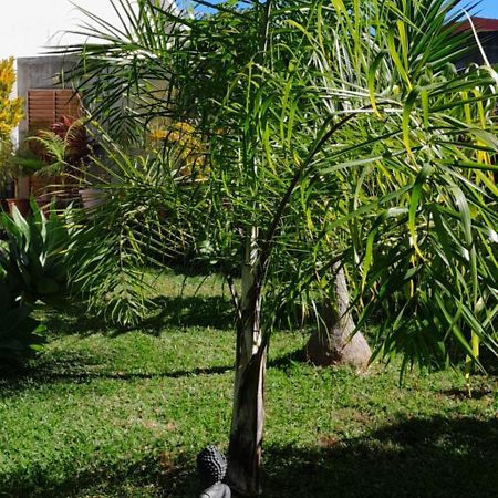 Kaz A Nine Villa Saint Pierre Exterior photo